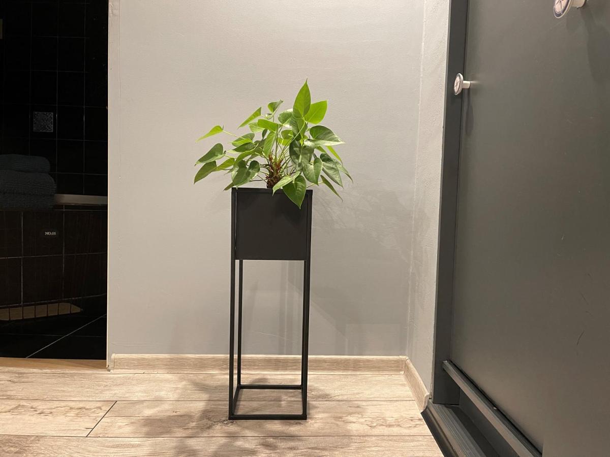 Apartamenty Pod Uwalonym Debem Jezow Sudecki Exterior photo