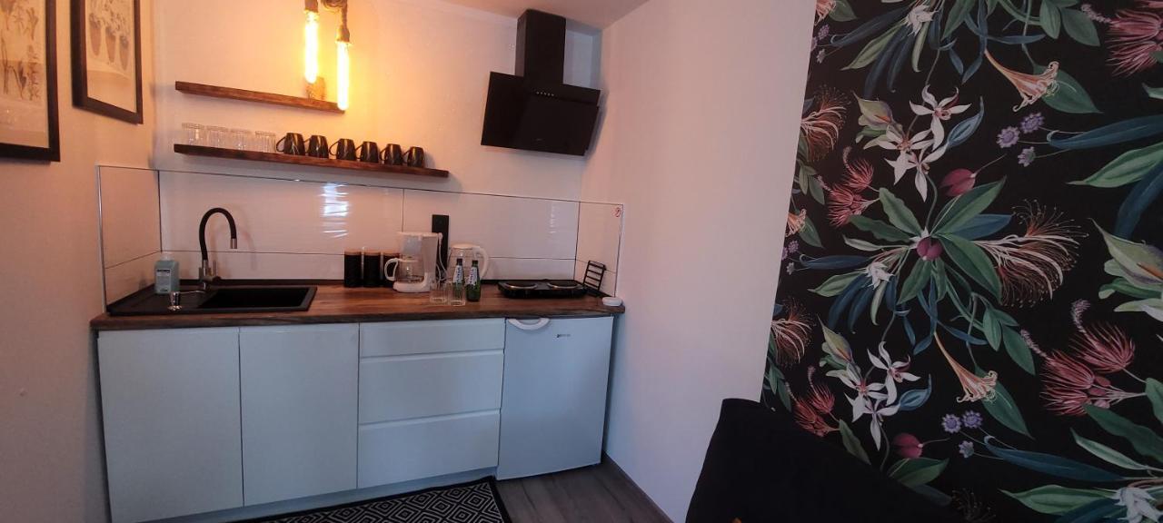 Apartamenty Pod Uwalonym Debem Jezow Sudecki Exterior photo